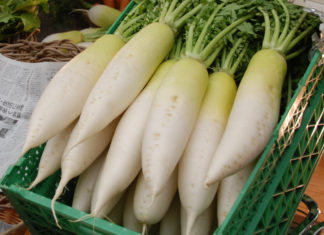 Buy this magical root at the market, known as “the little ginseng”, packed with 8 times more vitamin C than an apple, it’s affordable and nutritious.