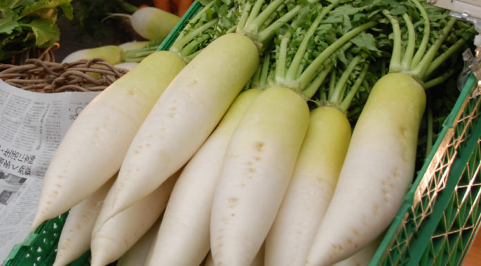 Buy this magical root at the market, known as “the little ginseng”, packed with 8 times more vitamin C than an apple, it’s affordable and nutritious.