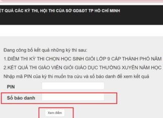 6 Ways to Obtain 10th Grade Entrance Exam Results in Ho Chi Minh City of 2023