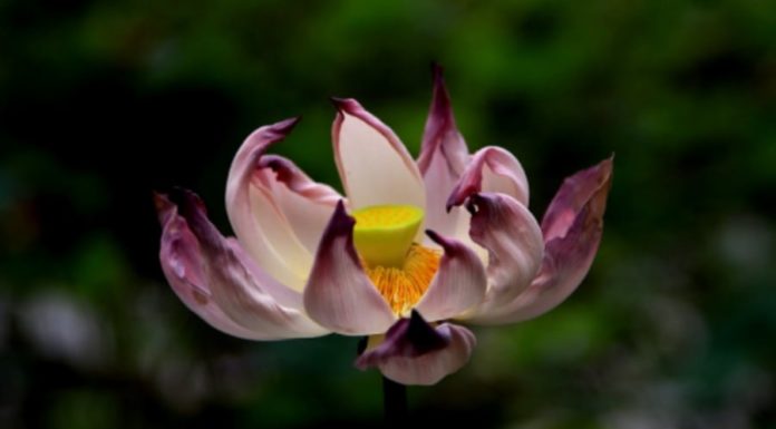 My last 60 minutes to savour a glass of wine. What about you?