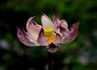 What will you do in the last 60 minutes of your life?