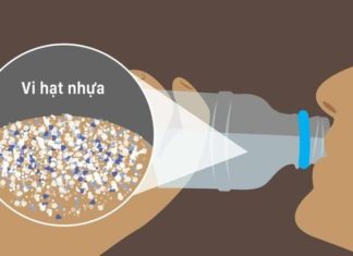 Avoid Hormone Disruption from Plastics – How to Prevent it?