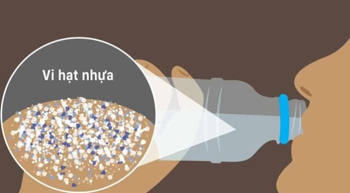 Avoid Hormone Disruption from Plastics – How to Prevent it?