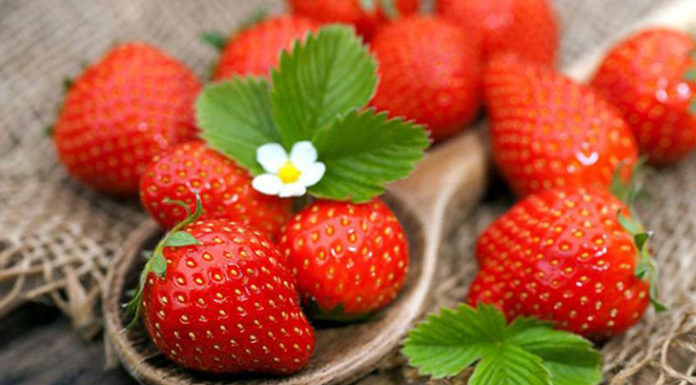 12 Meaningful Gift Ideas from Da Lat You Should Buy