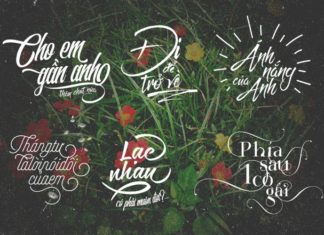 Collection of Creative and Unique Artistic Text Fonts – Latest 2024