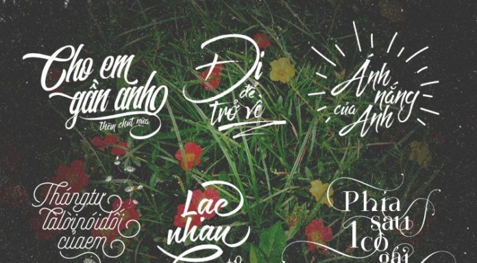 Collection of Creative and Unique Artistic Text Fonts – Latest 2024