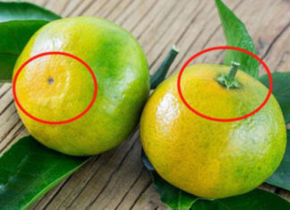 Buy oranges, the bigger they are, the sweeter they are, choose now.