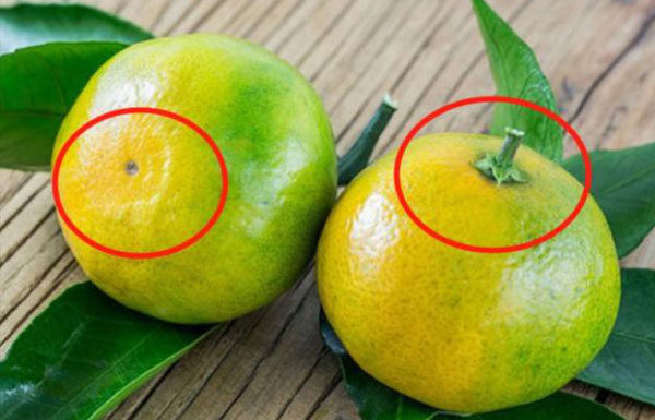 Buy oranges, the bigger they are, the sweeter they are, choose now.