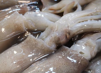 How to differentiate between fresh ink and frozen ink