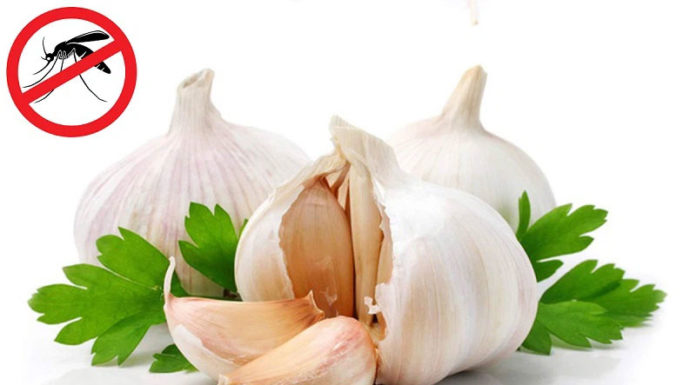 6 Effective Ways to Get Rid of Mosquitoes in Your Air-Conditioned Room Instantly