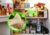 5 Affordable Items to Keep in Your Fridge for Fresh and Odor-Free Food