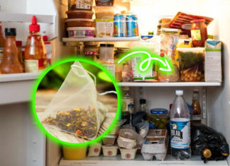 5 Affordable Items to Keep in Your Fridge for Fresh and Odor-Free Food