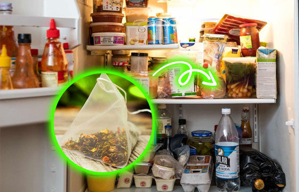 5 Affordable Items to Keep in Your Fridge for Fresh and Odor-Free Food