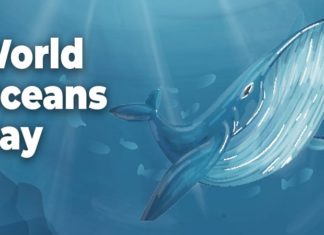 Uncovering the Story Behind World Oceans Day (June 8th)