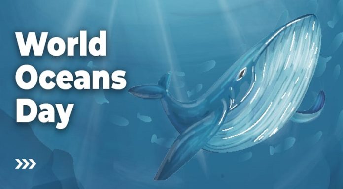 Uncovering the Story Behind World Oceans Day (June 8th)