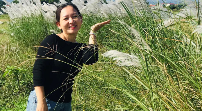 Picking Wildflowers by the Roadside: Quang Nam Province Woman Finds Stunning Flower Basket for Free