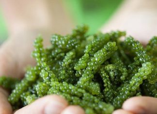 Who should not consume seaweed?