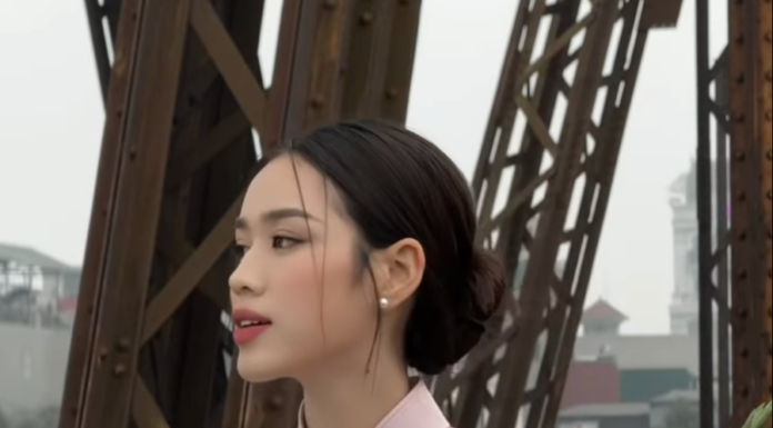 Vietnamese celebrities stunning in traditional ao dai on the eve of Tet, all in plain colors but still incredibly beautiful