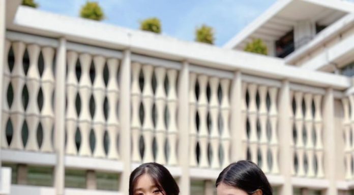 4 hacks to make “big shoulder” girls stand out in traditional Vietnamese dress on Tet holidays