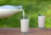 Is it safe for pregnant women to drink unsweetened milk?