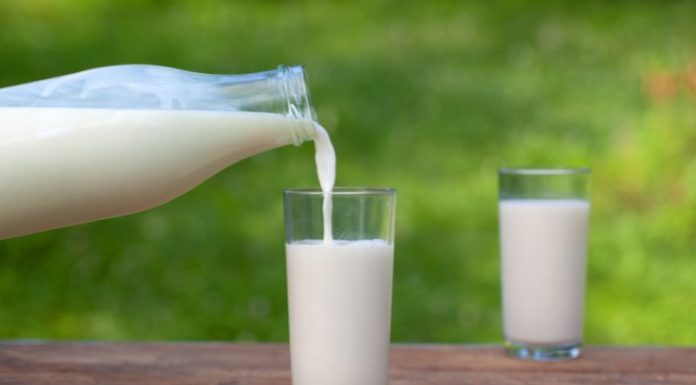 Is it safe for pregnant women to drink unsweetened milk?