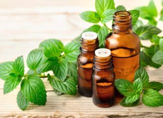 The Simple Recipe for Making Mint Shampoo to Treat Dandruff and Scalp Acne