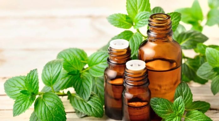 The Simple Recipe for Making Mint Shampoo to Treat Dandruff and Scalp Acne