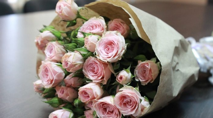 Download 80+ Most Unique and Sweet Valentine Background Images for the Upcoming Valentine’s Day