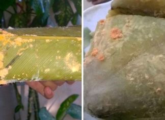 Should You Consume Chung Cake That Has Been Left Out Over Tet Despite Mold on the Leaves and Surface?