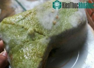 Can you eat moldy part of cut banh chung?