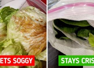 8 Hacks to Keep Your Food Fresh Longer