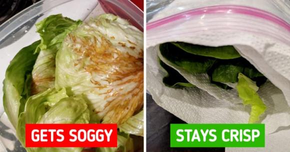 8 Hacks to Keep Your Food Fresh Longer