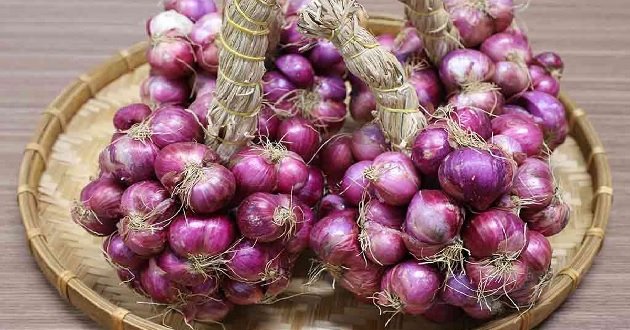 How to store onions, garlic, ginger, and potatoes all year round without sprouting, keeping them fresh and delicious