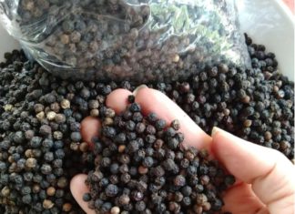 How to Keep Rice Fresh and Avoiding Insects and Moths