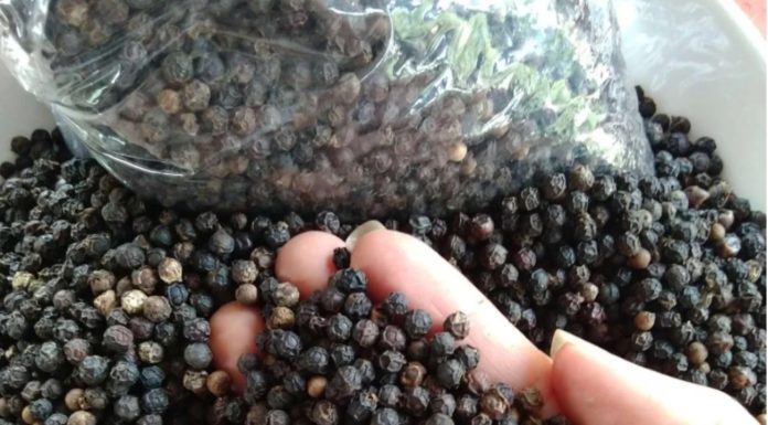 How to Keep Rice Fresh and Avoiding Insects and Moths