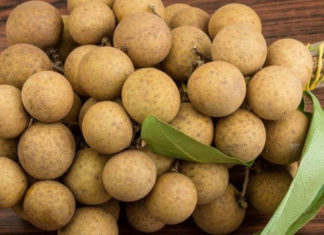 Tips for Prolonging the Life of Refrigerator Labels