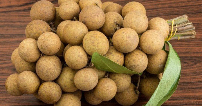 Tips for Prolonging the Life of Refrigerator Labels