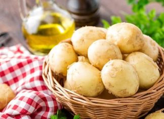 Refrigerate Your Vegetables and Fruits to Maximize Their Freshness