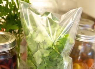 How to Keep Cilantro Fresh for 3 Months: Follow This Method for Fresh and Delicious Cilantro Every Time