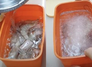 How to Ensure Shrimp Remain Fresh When Refrigerated
