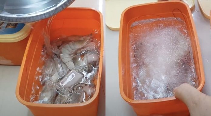 How to Ensure Shrimp Remain Fresh When Refrigerated