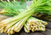 Uncovering the Benefits of Using Lemongrass Oil for Anti-Dandruff Treatment