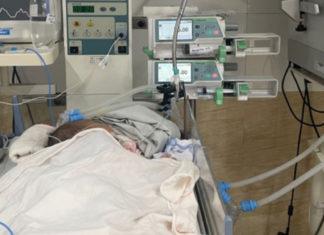 The dangerous reason why adults’ kisses put newborns at risk – Avoid it before it’s too late