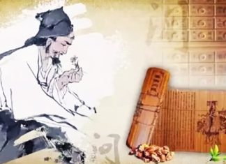 What is the connection between the phrases “Mouth Disease” and “Leg Illness” according to an ancient healer?