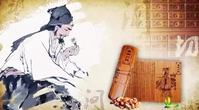 What is the connection between the phrases “Mouth Disease” and “Leg Illness” according to an ancient healer?