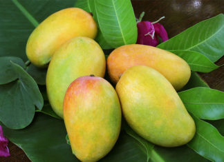 How to Select the Best Mangoes for a Tasty Treat