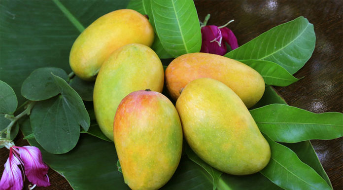 How to Select the Best Mangoes for a Tasty Treat