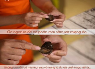 Preparing Snails with a Tangy Lime & Lemongrass Flavor