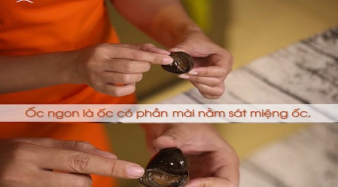 Preparing Snails with a Tangy Lime & Lemongrass Flavor