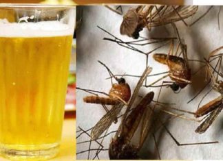 Solve Many Household Problems with Just One Half-Empty Beer Can